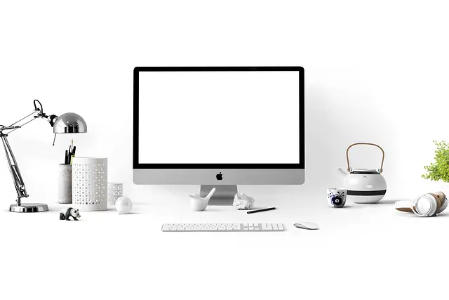 Comment choisir les bonnes plateformes de médias sociaux pour votre entreprise